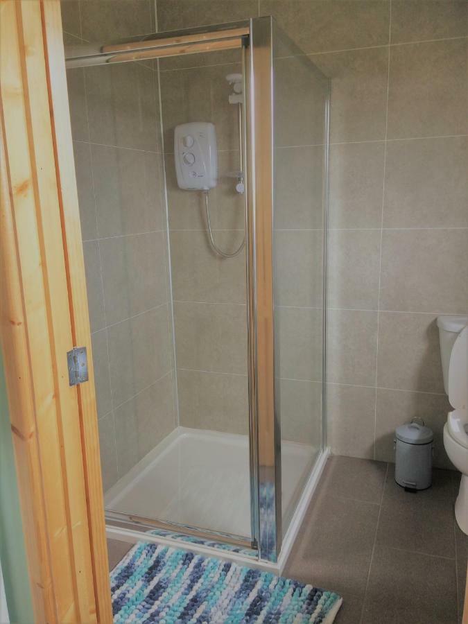 Maes Y Mor Apartment Llanarth  Bagian luar foto